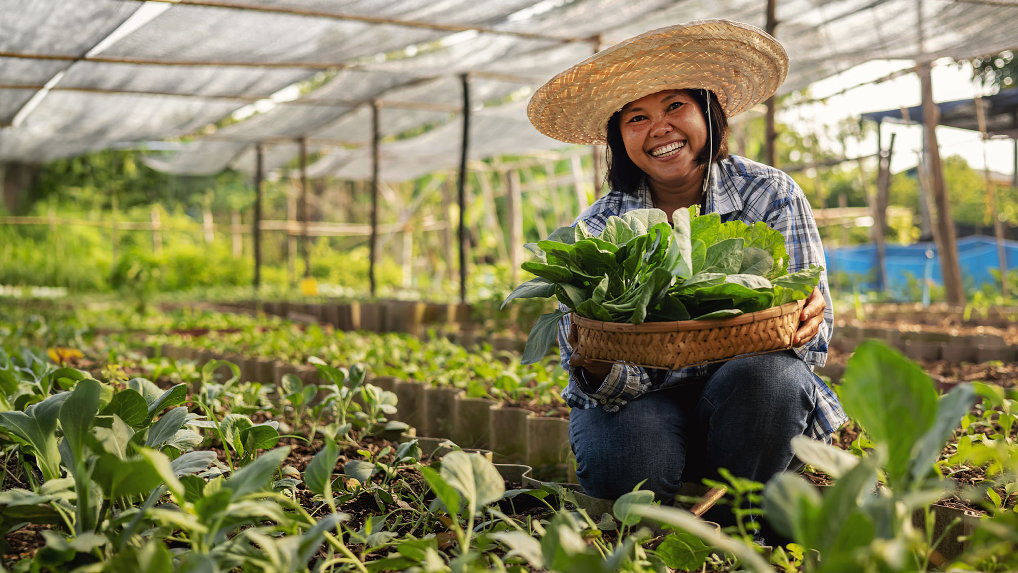 Sustainability Thailand